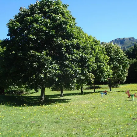 Location Sancy *